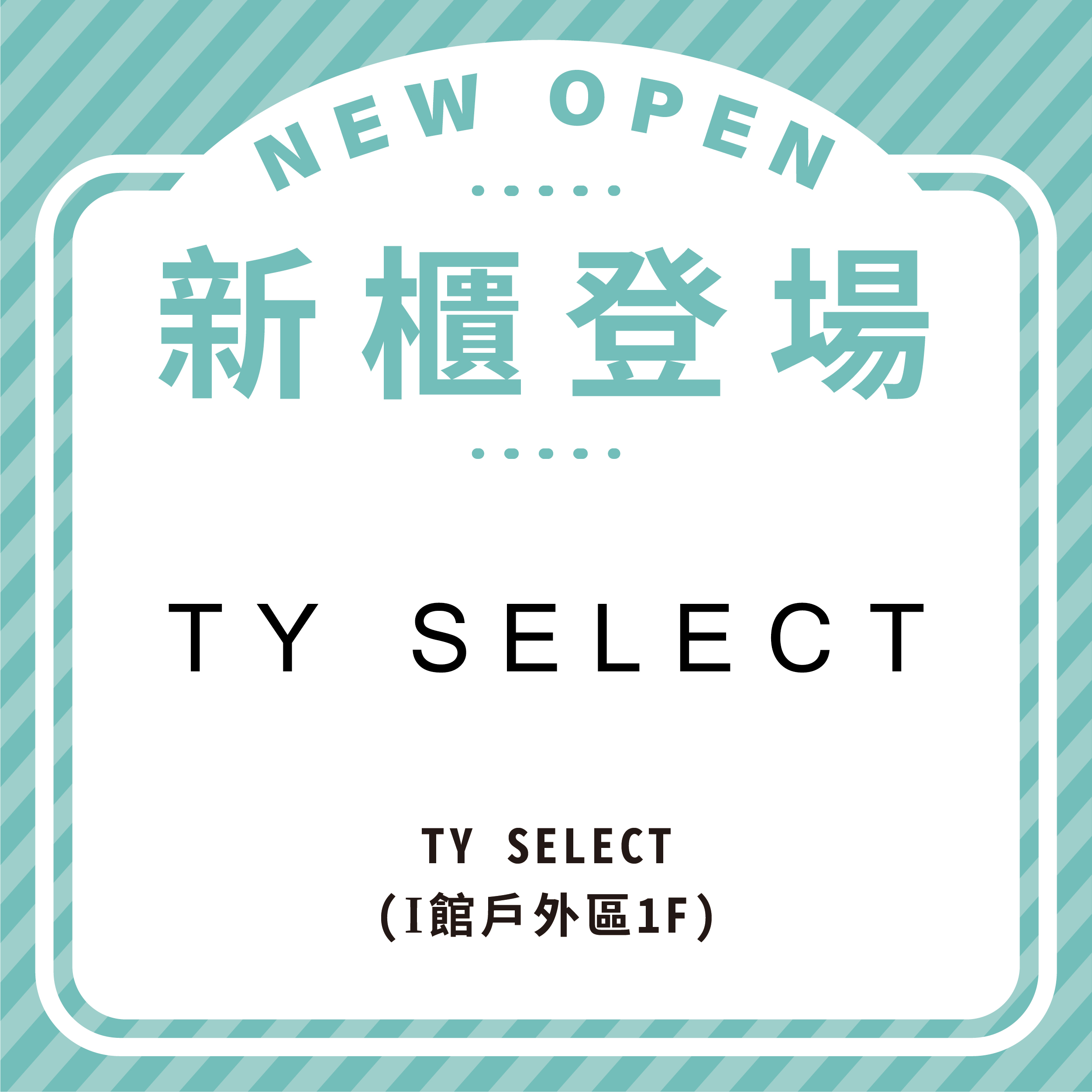 TY SELECT