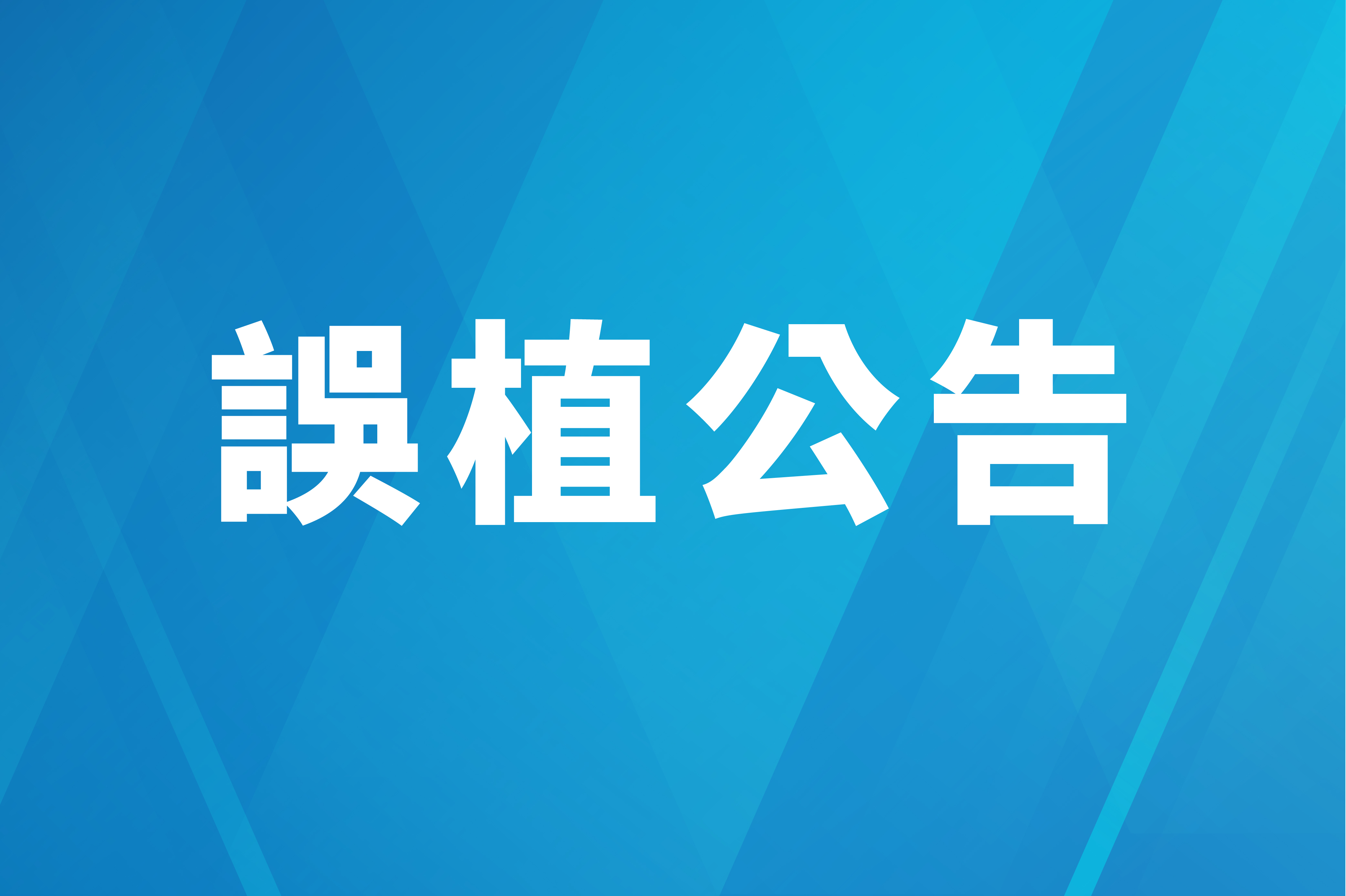 新春初売｜DM誤植公告